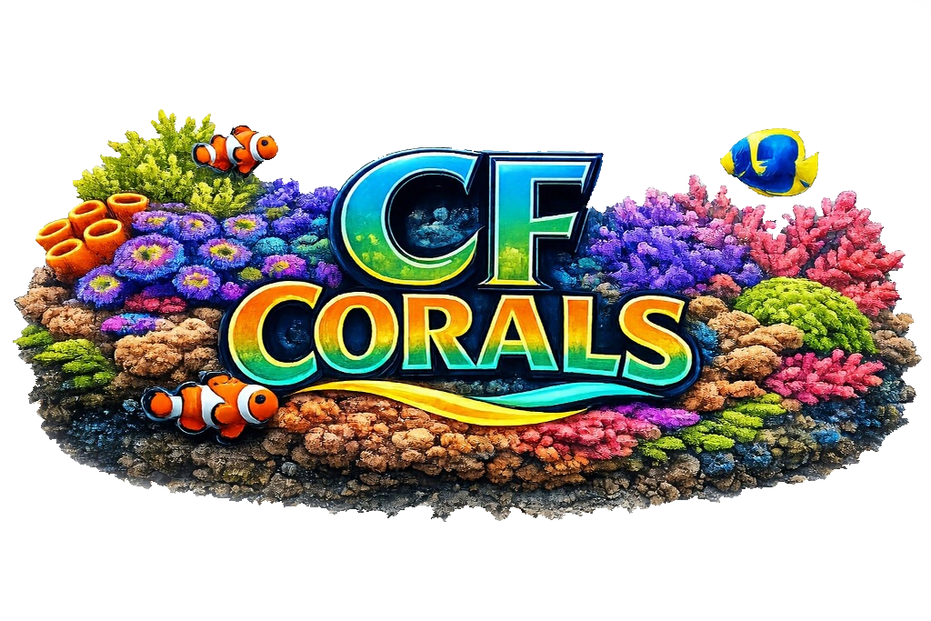 CF Coral