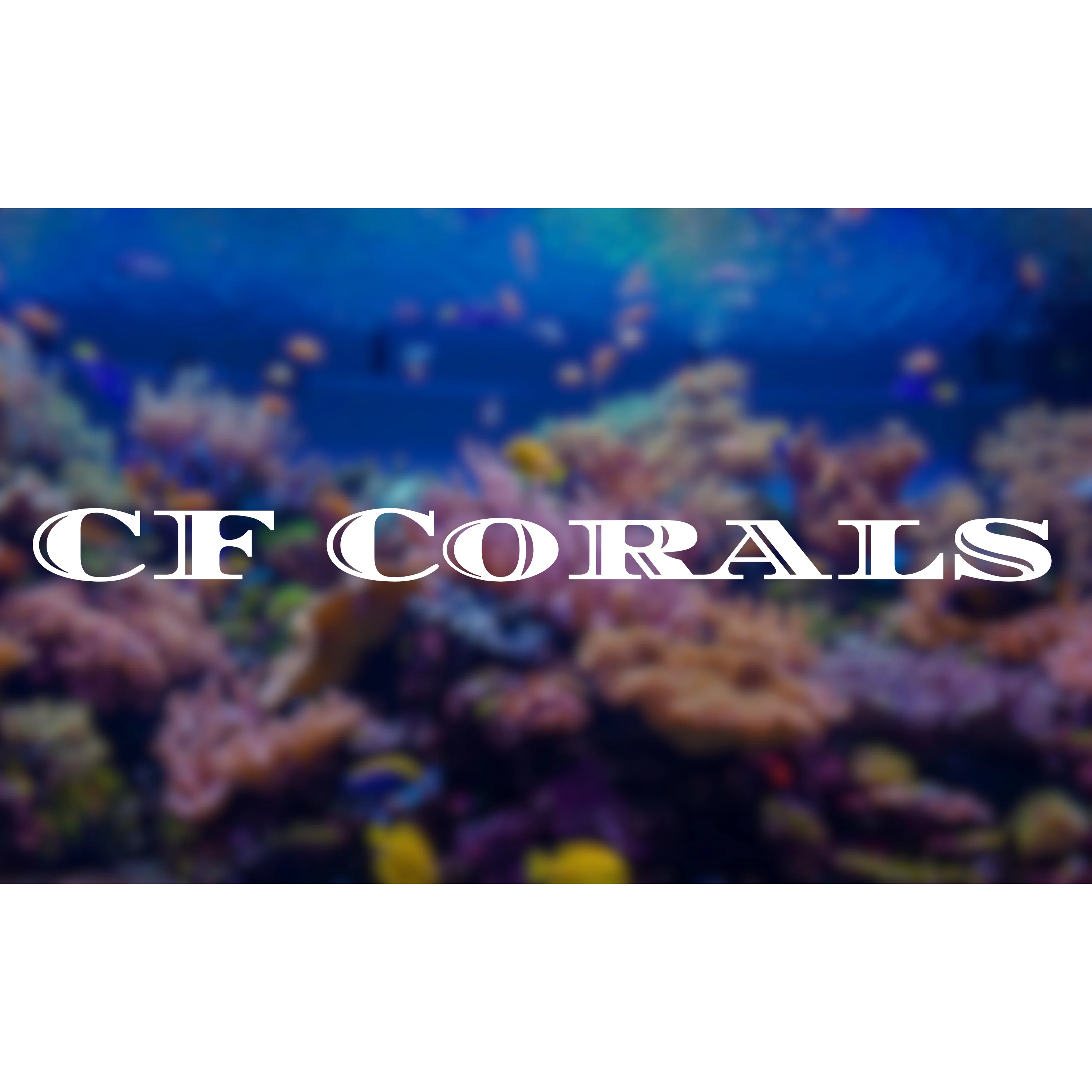 Cfcorals